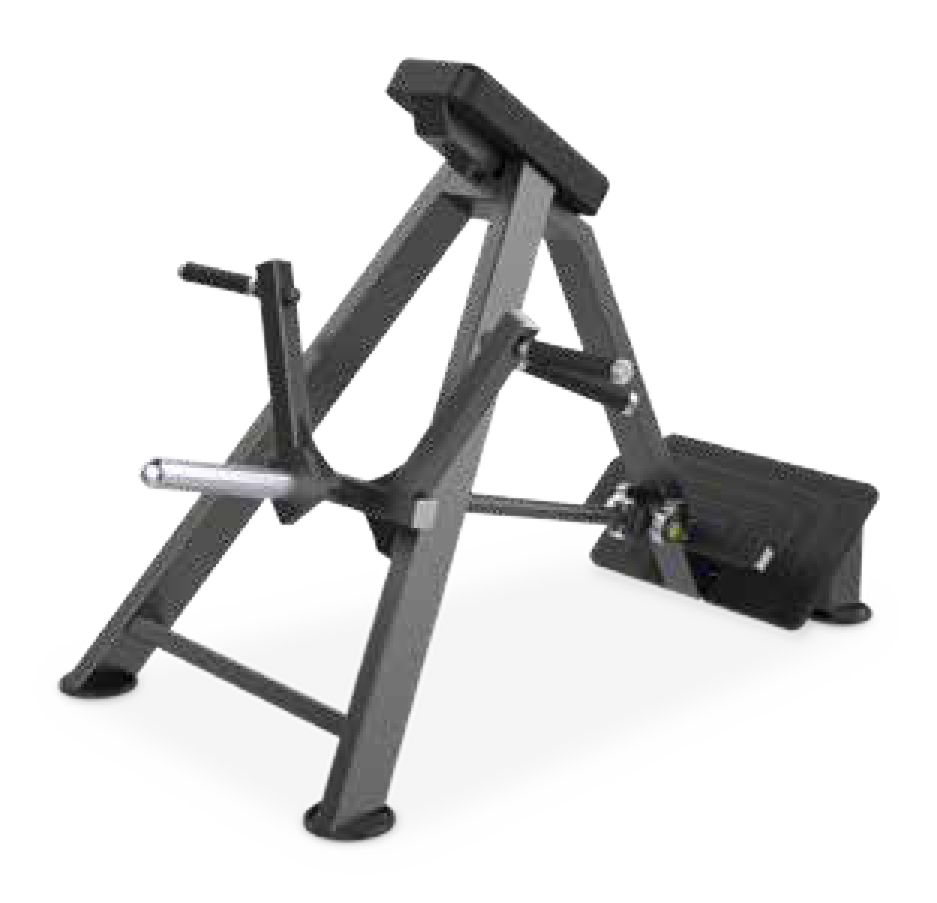 DIESEL ROWING - T BAR