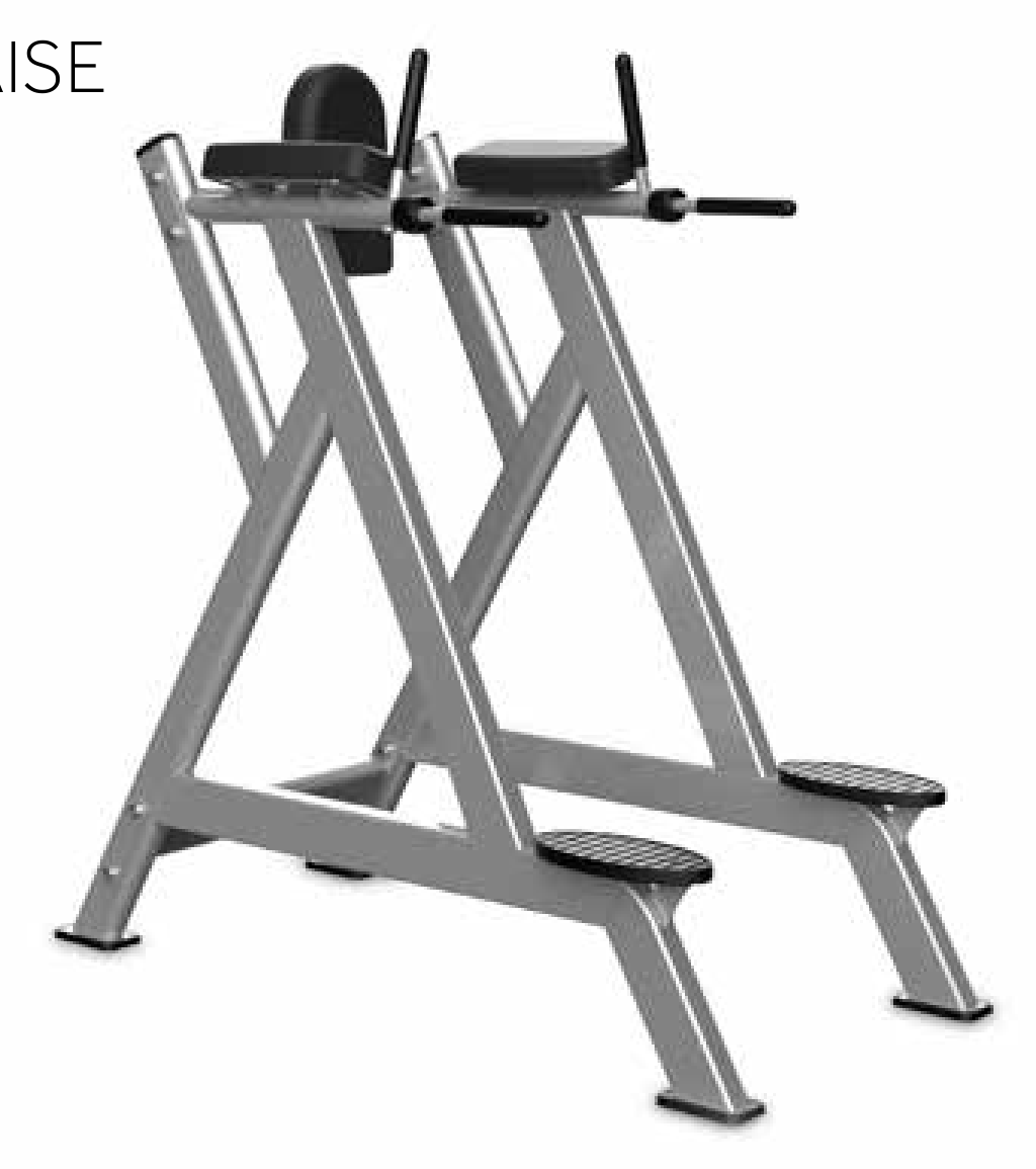 PROFITNESS VERTICAL KENEE RAISE - KP127